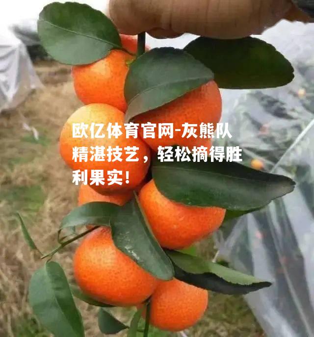 灰熊队精湛技艺，轻松摘得胜利果实！